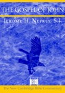 The Gospel of John - Jerome H. (University of Notre Dame Neyrey - 9780521535212