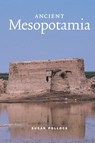 Ancient Mesopotamia - Susan (State University of New York Pollock - 9780521575683
