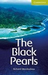 The Black Pearls Starter/Beginner - Richard MacAndrew - 9780521732895