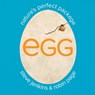 Egg: Nature's Perfect Package - Robin Page - 9780544640498