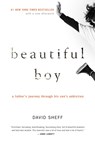 Beautiful Boy - Sheff David Sheff - 9780547203881