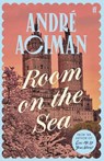 Room on the Sea - Andre Aciman - 9780571385140