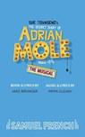 The Secret Diary of Adrian Mole Aged 13 - Sue Townsend - 9780573116650