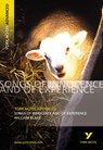 Songs of Innocence and Experience: York Notes Advanced - everything you need to study and prepare for the 2025 and 2026 exams - David Punter - 9780582784338