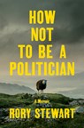 Stewart, R: How Not to Be a Politician - Rory Stewart - 9780593300329