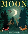 Moon: A Peek-Through Board Book - Britta Teckentrup - 9780593372395