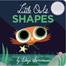 Little Owl's Shapes - Divya Srinivasan - 9780593691199