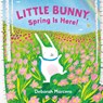 Little Bunny, Spring Is Here! - Deborah Marcero - 9780593698969