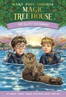 Sea Otter Sunrise - Mary Pope Osborne ; A.G. Ford - 9780593706541
