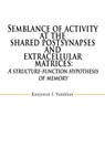 Semblance of activity at the shared postsynapses and extracellular matrices - Kunjumon I Vadakkan - 9780595470020