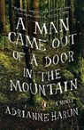 A Man Came Out of a Door in the Mountain - Adrianne Harun - 9780670786107