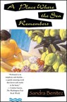 A Place Where the Sea Remembers - Sandra Aamodt - 9780671892678