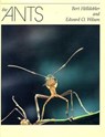 The Ants - Bert Holldobler ; Edward O. Wilson - 9780674040755