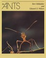 The Ants - Bert Holldobler ; Edward O. Wilson - 9780674040755