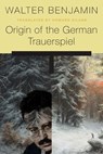 Origin of the German Trauerspiel - Walter Benjamin - 9780674744240