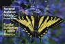 National Audubon Society Pocket Guide: Familiar Butterflies of North America - National Audubon Society - 9780679729815