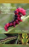 Caterpillars of Eastern North America - David L. Wagner - 9780691121444