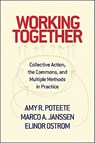 Working Together - Amy R. Poteete ; Marco A. Janssen ; Elinor Ostrom - 9780691146041
