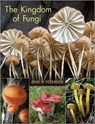 The Kingdom of Fungi - Jens H. Petersen - 9780691157542