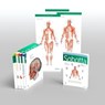 Sobotta Atlas of Anatomy, Package, 17th ed., English/Latin - Friedrich Paulsen ; Jens Waschke - 9780702067648