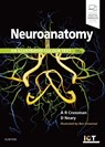 Neuroanatomy: an Illustrated Colour Text - Alan R. (Professor of Anatomy Crossman ; David (Professor of Neurology Neary - 9780702074622