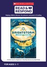 Brightstorm: A Sky-Ship Adventure - Debbie Ridgard ; Sally Burt - 9780702319518