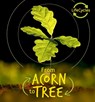 From Acorn to Tree - Camilla De La Bedoyere - 9780711243699