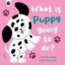 What Is Puppy Going to Do? - Carly Madden - 9780711266193