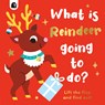 What Is Reindeer Going to Do? - Carly Madden - 9780711274280