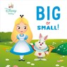 Big or Small! (Disney Baby: Alice in Wonderland) - House Random - 9780736446266