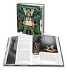 TAROT COMPENDIUM - Lo Scarabeo - 9780738756905