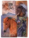Pike, K: Oracle of the Sacred Horse -  - 9780738776484