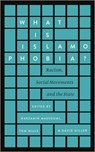 What is Islamophobia? - Narzanin Massoumi ; Tom Mills ; David Miller - 9780745399577