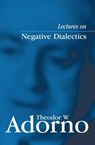 Lectures on Negative Dialectics - Theodor W. (Frankfurt School) Adorno - 9780745635101