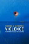 Violence - Richard J. Bernstein - 9780745670881