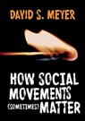 How Social Movements (Sometimes) Matter - David S. Meyer - 9780745696850