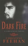 Dark Fire - Christine Feehan - 9780749937843