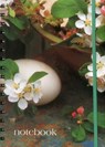 Notebook Egg & Blossom - Peony Press - 9780754820291