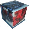 Memo Block: Berries -  - 9780754820352
