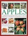 Illustrated World Encyclopedia of Apples - Andrew Mikolajski - 9780754820666