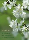 Blossom Large Card Box -  - 9780754821205