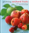 Growing Orchard Fruits - Richard Bird ; Kate Whiteman - 9780754831419