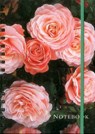 Notebook Rose - Peony Press - 9780754831594