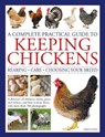 Keeping Chickens, Complete Practical Guide to - Fred Hams - 9780754835653