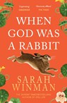 When God was a Rabbit - Sarah Winman - 9780755379309
