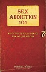 Sex Addiction 101 - Robert Weiss, LCSW, CSAT-S - 9780757318443