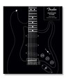 Fender Stratocaster 70 Years - Dave Hunter - 9780760385166