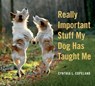 Really Important Stuff My Dog Has Taught Me - Cynthia L. Copeland - 9780761181798