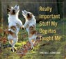 Really Important Stuff My Dog Has Taught Me - Cynthia L. Copeland - 9780761184096