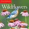 Audubon Wildflowers 2017 Calendar -  - 9780761190073